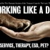 web 900 x 600 Working Dogs showblock.jpg